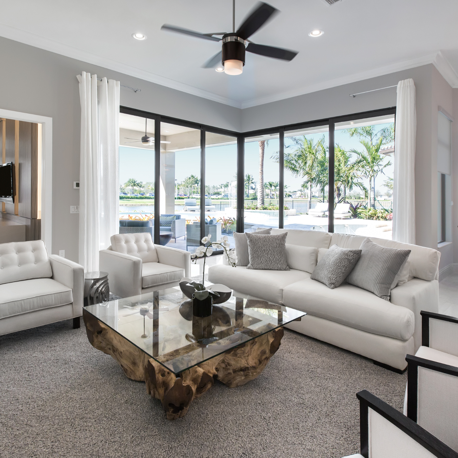 Elegant living room interior